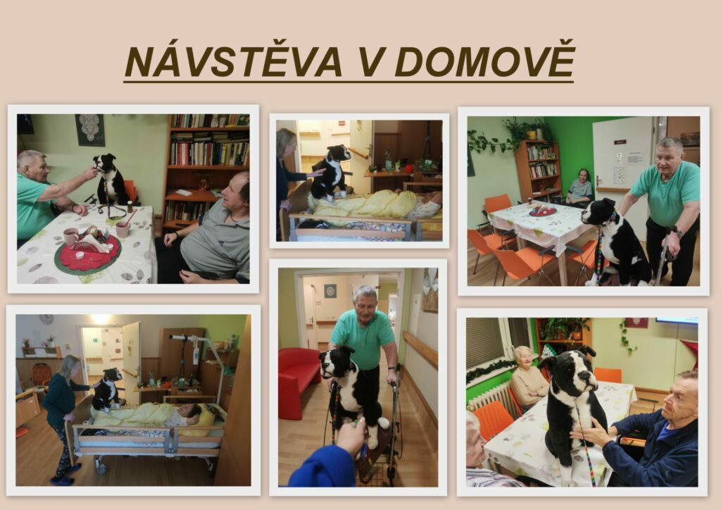 Návštěva v domově