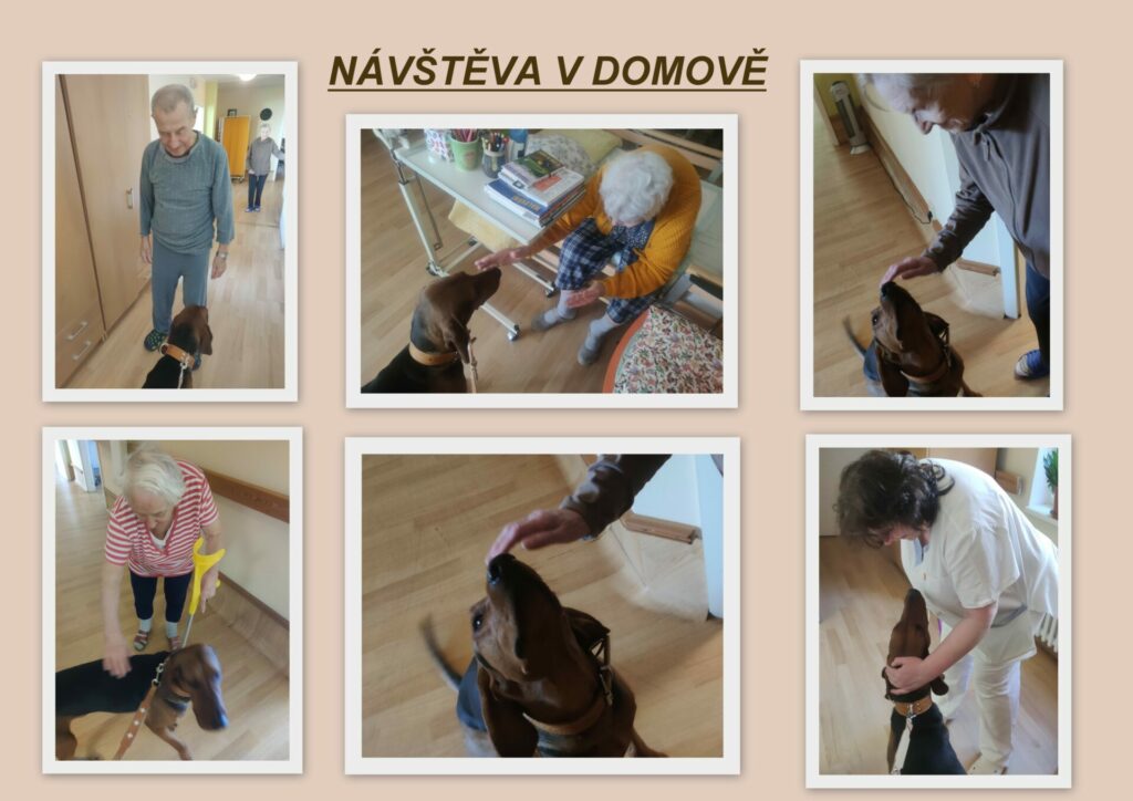 Návštěva v domově