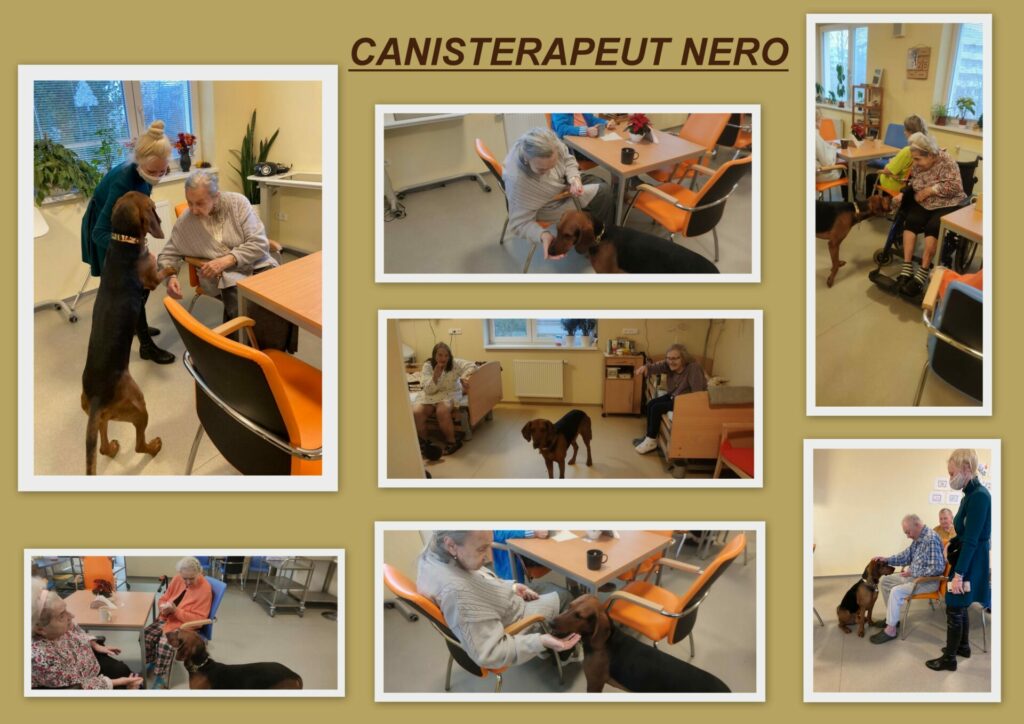 Canisterapeut Nero - DZR