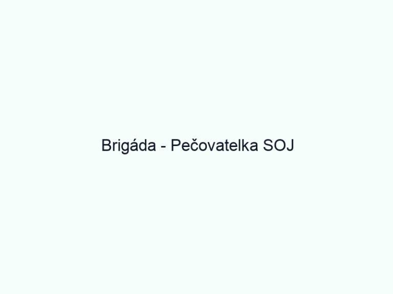 Brigáda - Pečovatelka SOJ