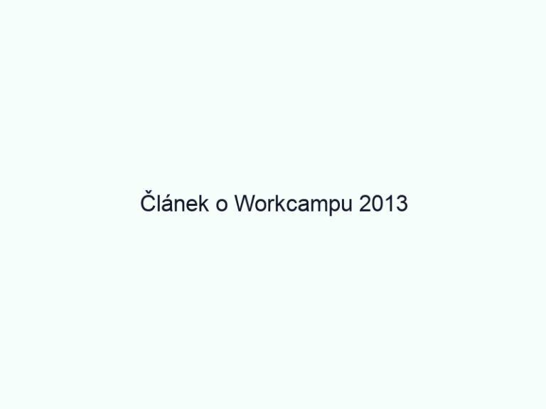 Článek o Workcampu 2013