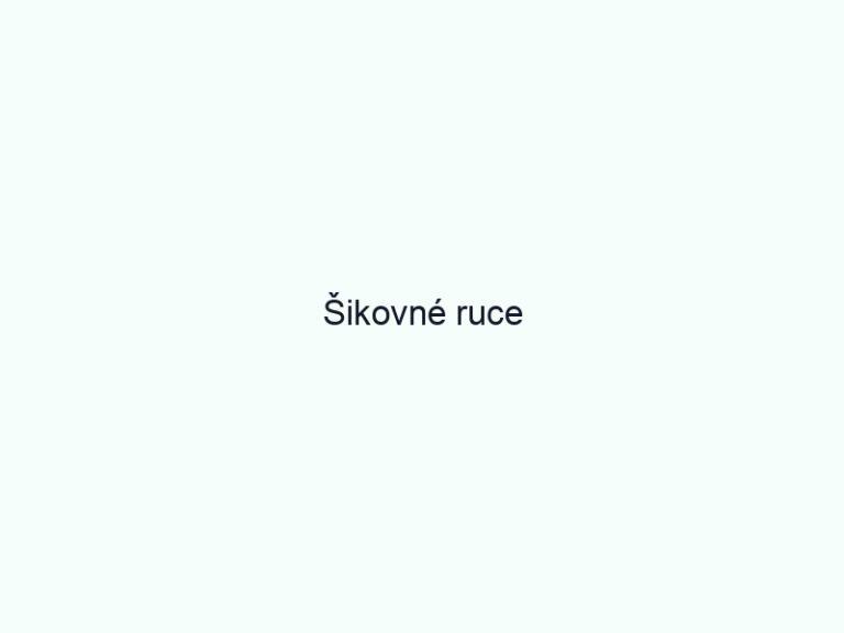 Šikovné ruce