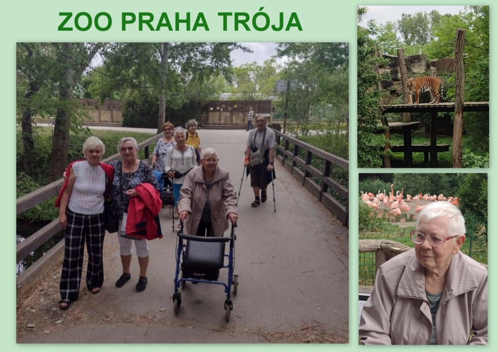Návštěva zoo Praha Trója