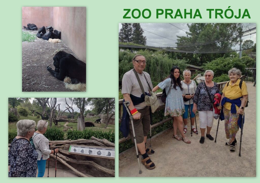 Návštěva zoo Praha Trója