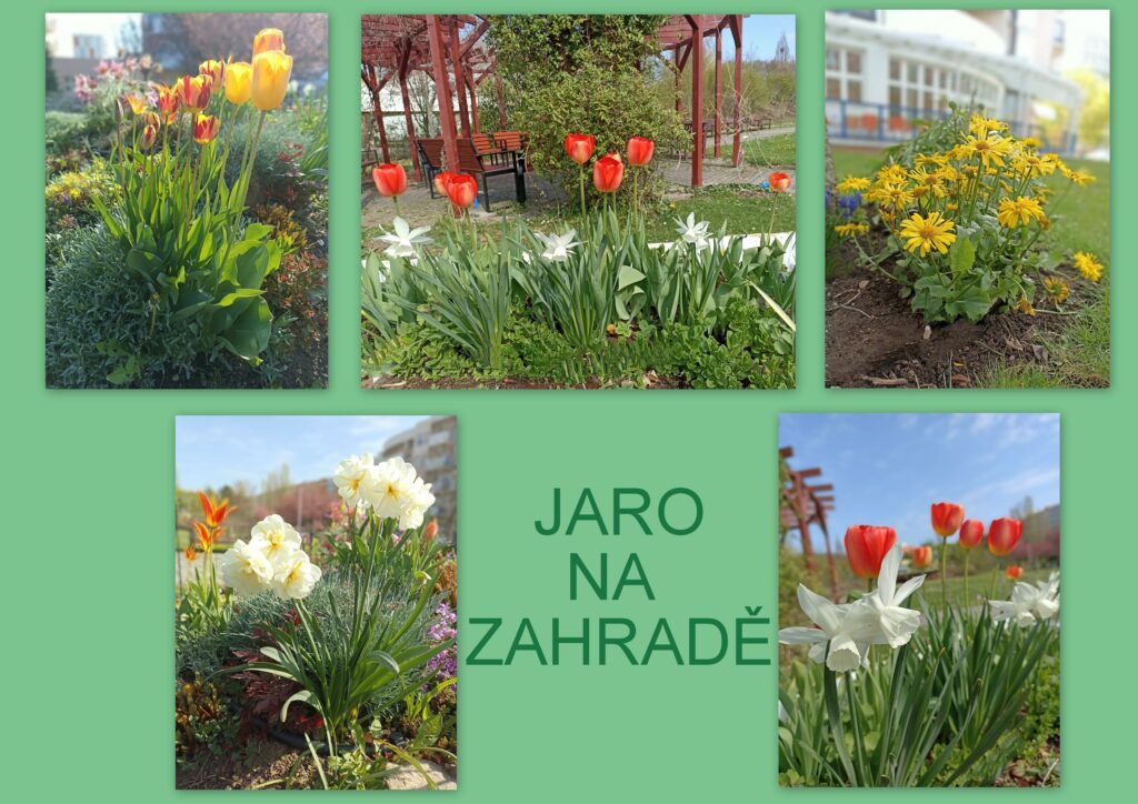 JARO NA ZAHRADĚ