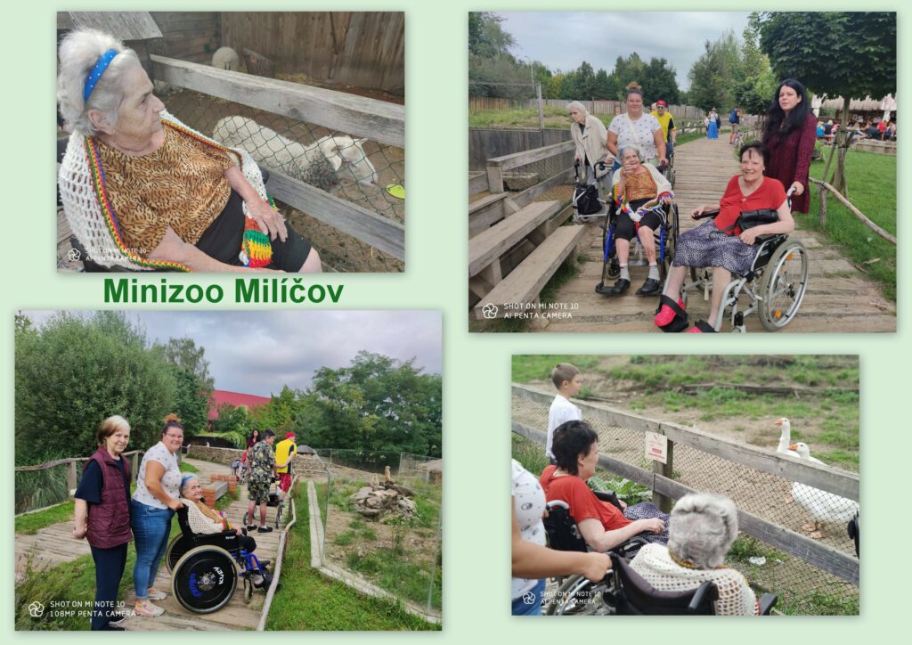 Návštěva klientů Domova se zvláštním režimem Minizoo Milíčov 3.část